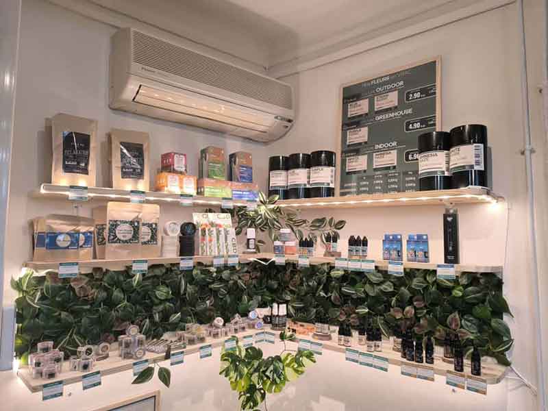 Intérieur de la boutique corner CBD